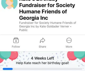 Ways to Collect Donations Online – Donation Tools and When to Use What