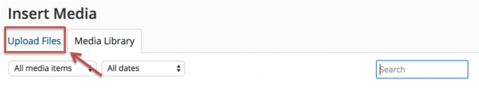Upload Files in WordPress