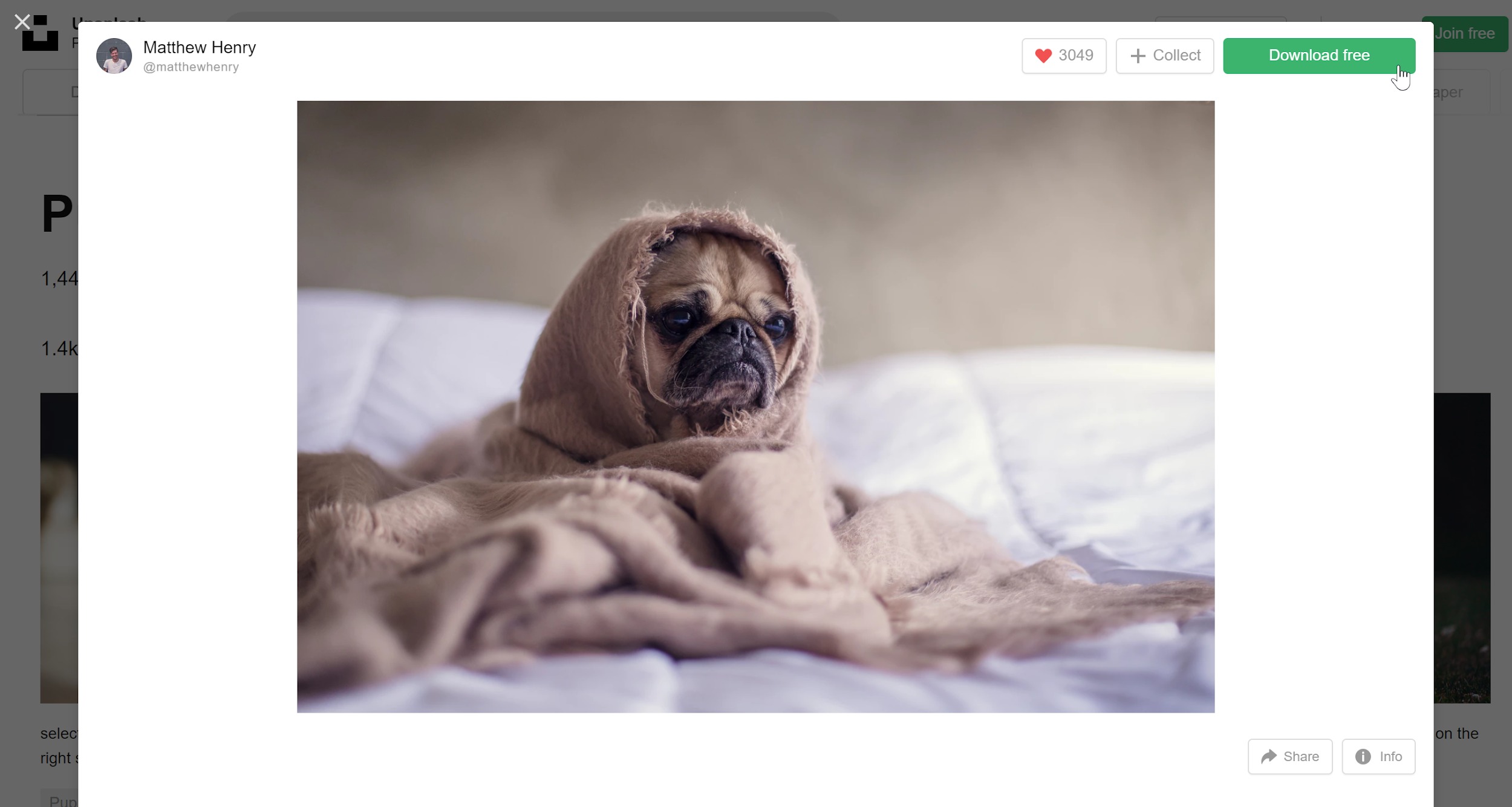 Where to find free stock photos online - Unsplash