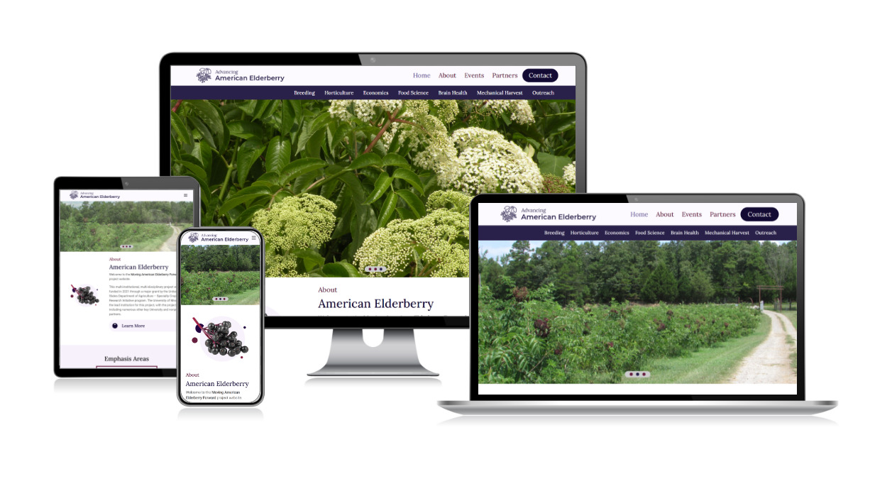 Advancing American Elderberry Devices