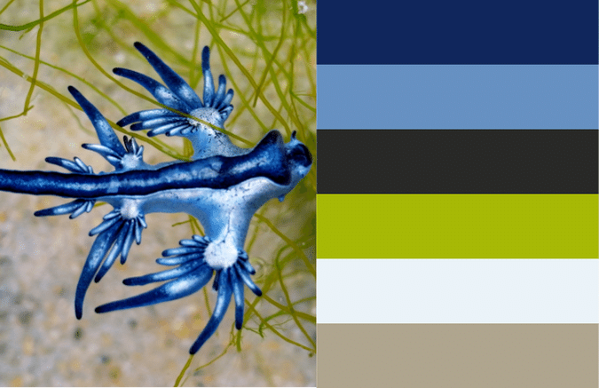 blue aquatic animal on brown and green background with matching color palette