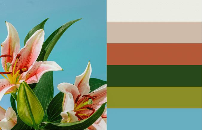 pink and green flowers on blue background with matching color palette