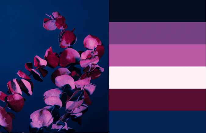 purple flowers on blue background with matching color palette