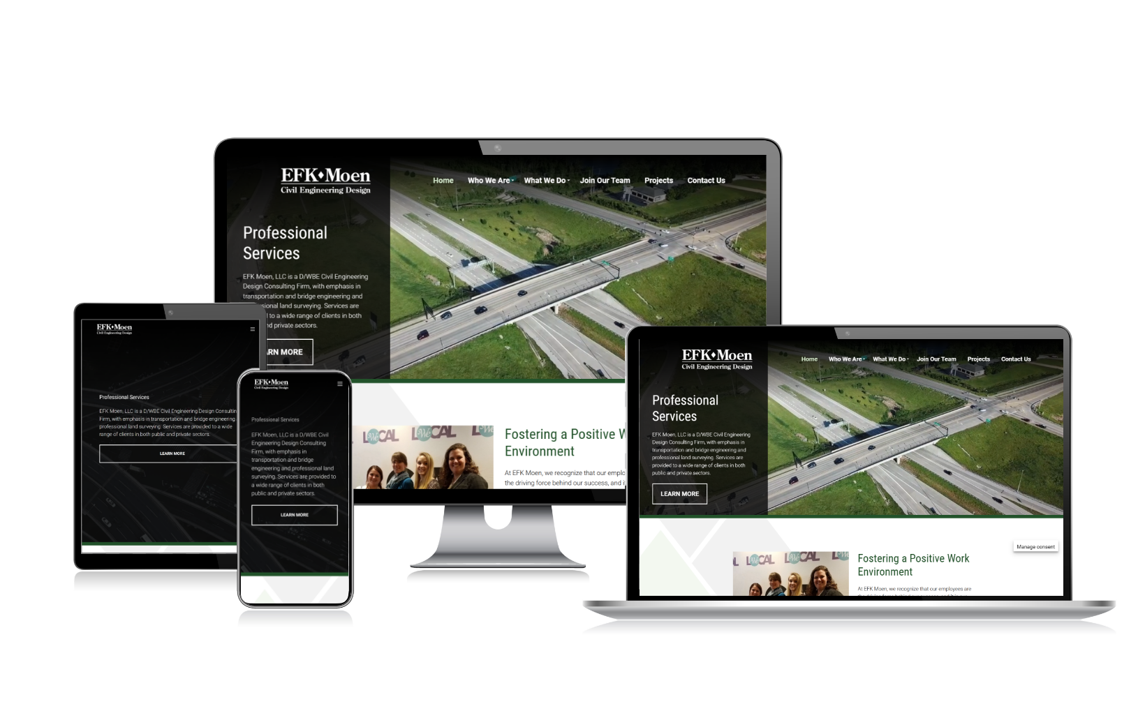 EFK Moen Devices