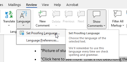 Screenshot of the Review tab in Microsoft Word showing the Language menu open with the cursor on Set Proofing Language, which allows users to choose the language for spelling and grammar checks.
