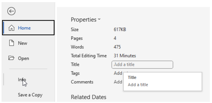 Screenshot on Microsoft word on how to set and fill out document properties